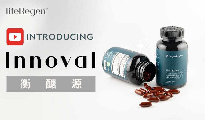 全新Innoval產品介紹影片,帶您深入探索!