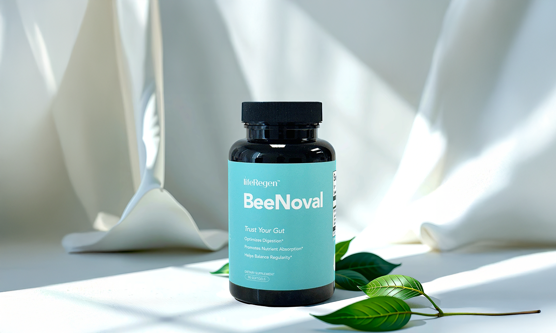 BeeNoval’s Fresh New Look